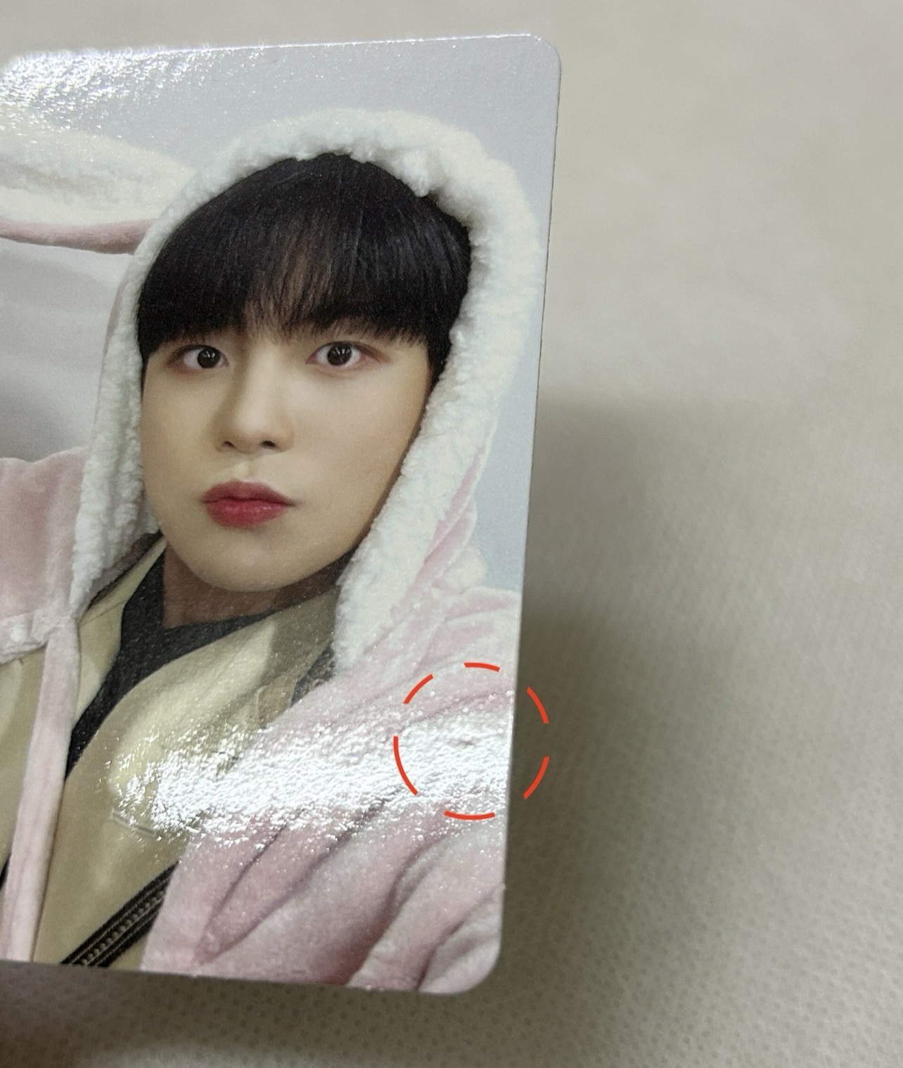 鍾浩 粉兔 灰兔特典