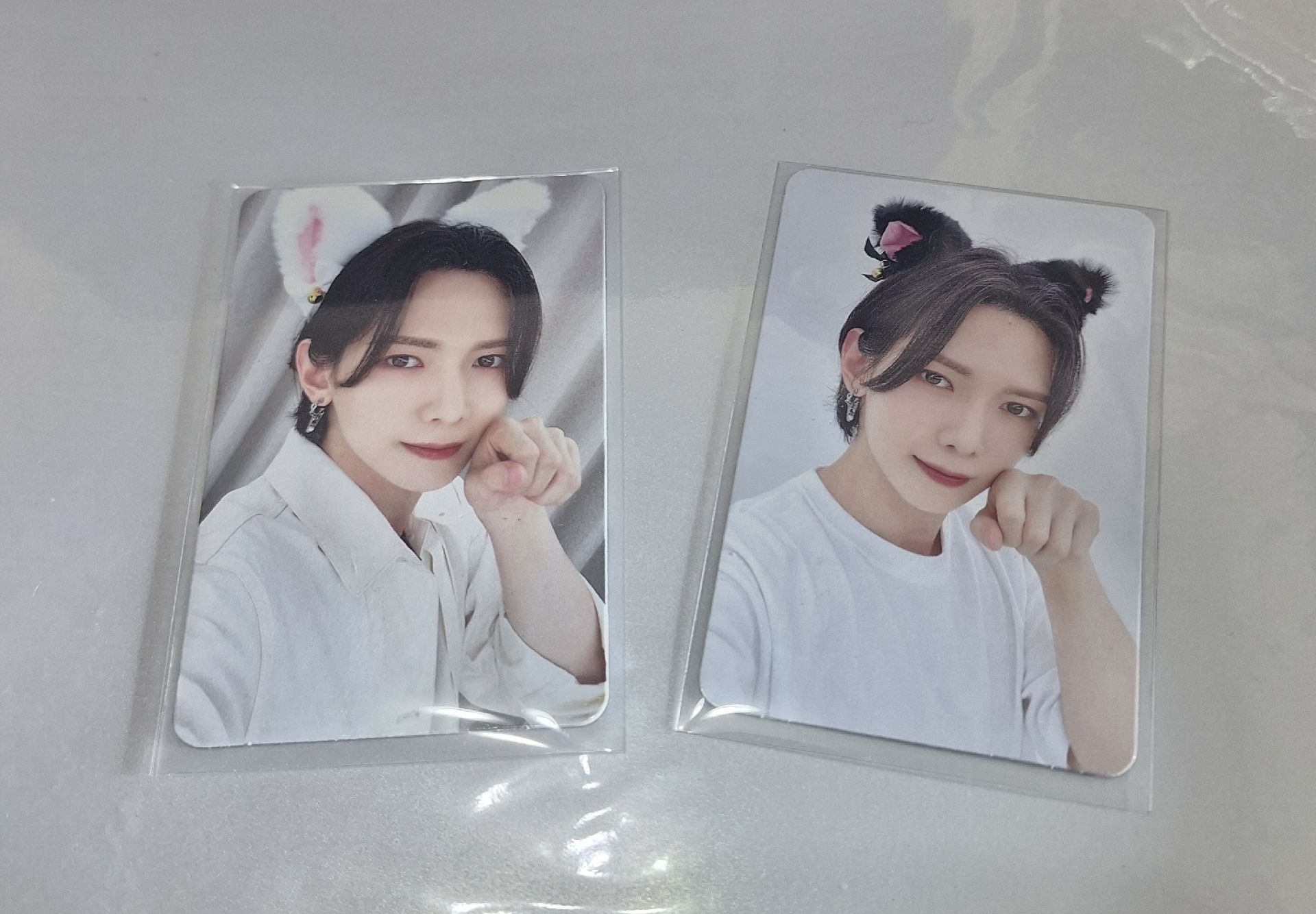 來帶可愛小貓回家吧？