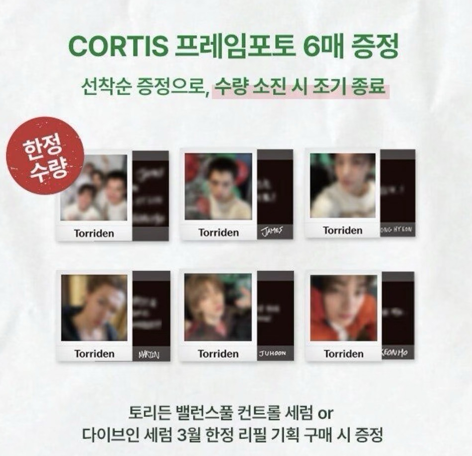 Torriden 代言卡 一套