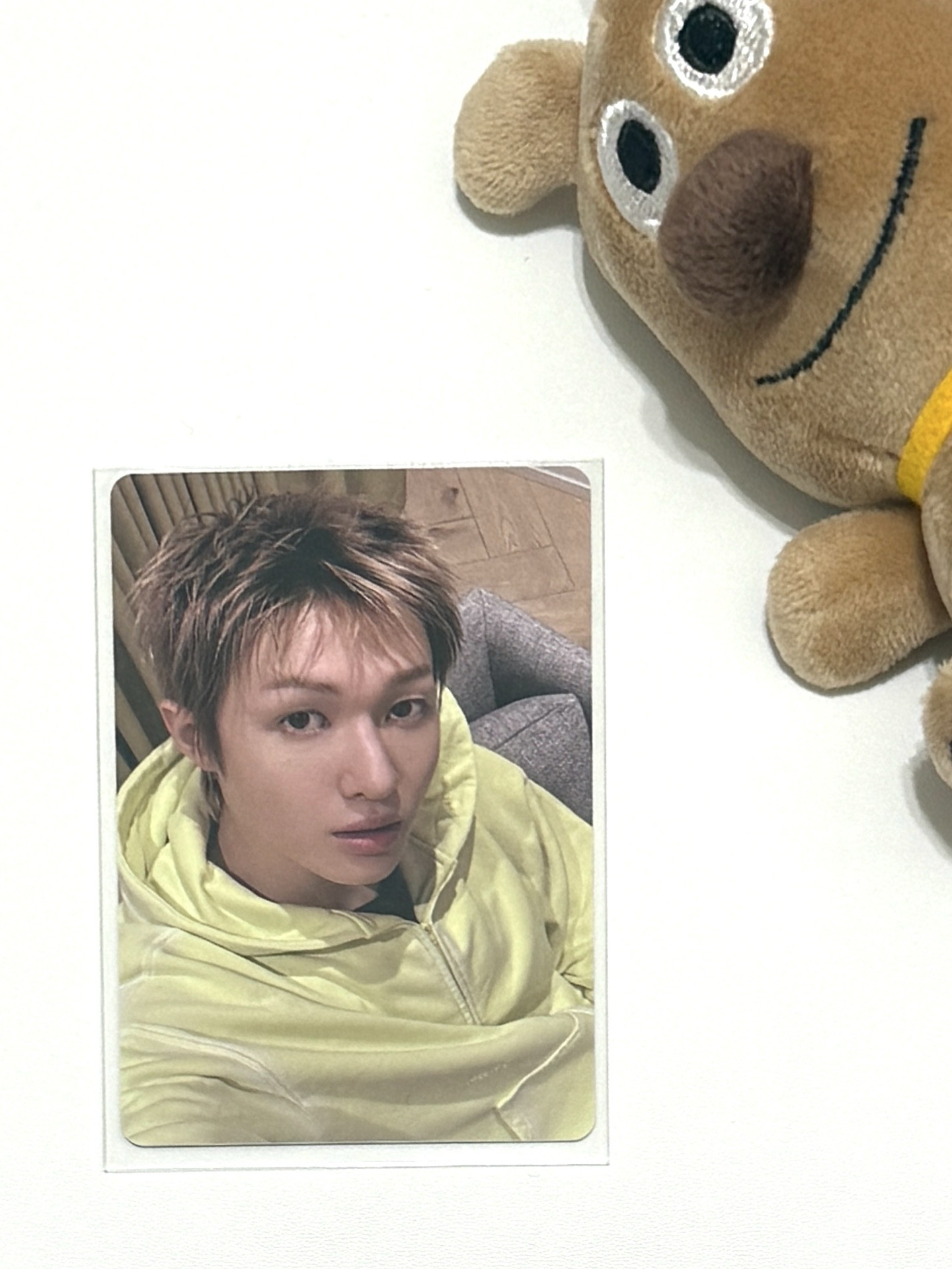 yzy5.0馬 起司狗塑🐶 現貨飛機盒24hr出