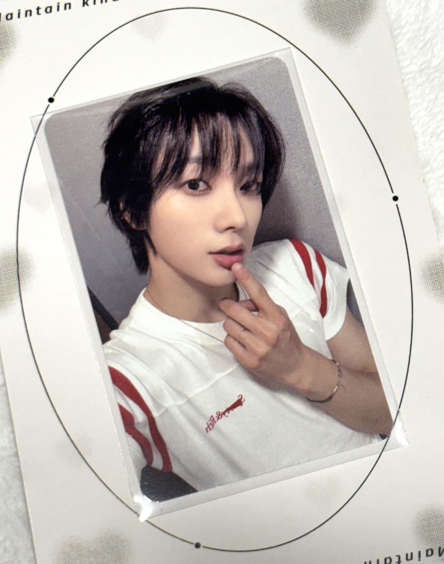 ❇️成淏 md特別禮