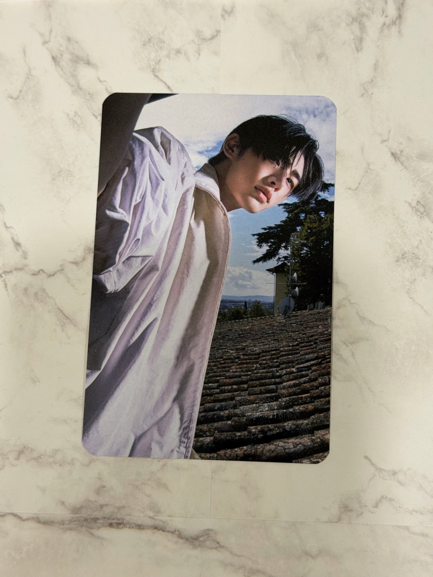 訓 迷七 ms預售特典🐩