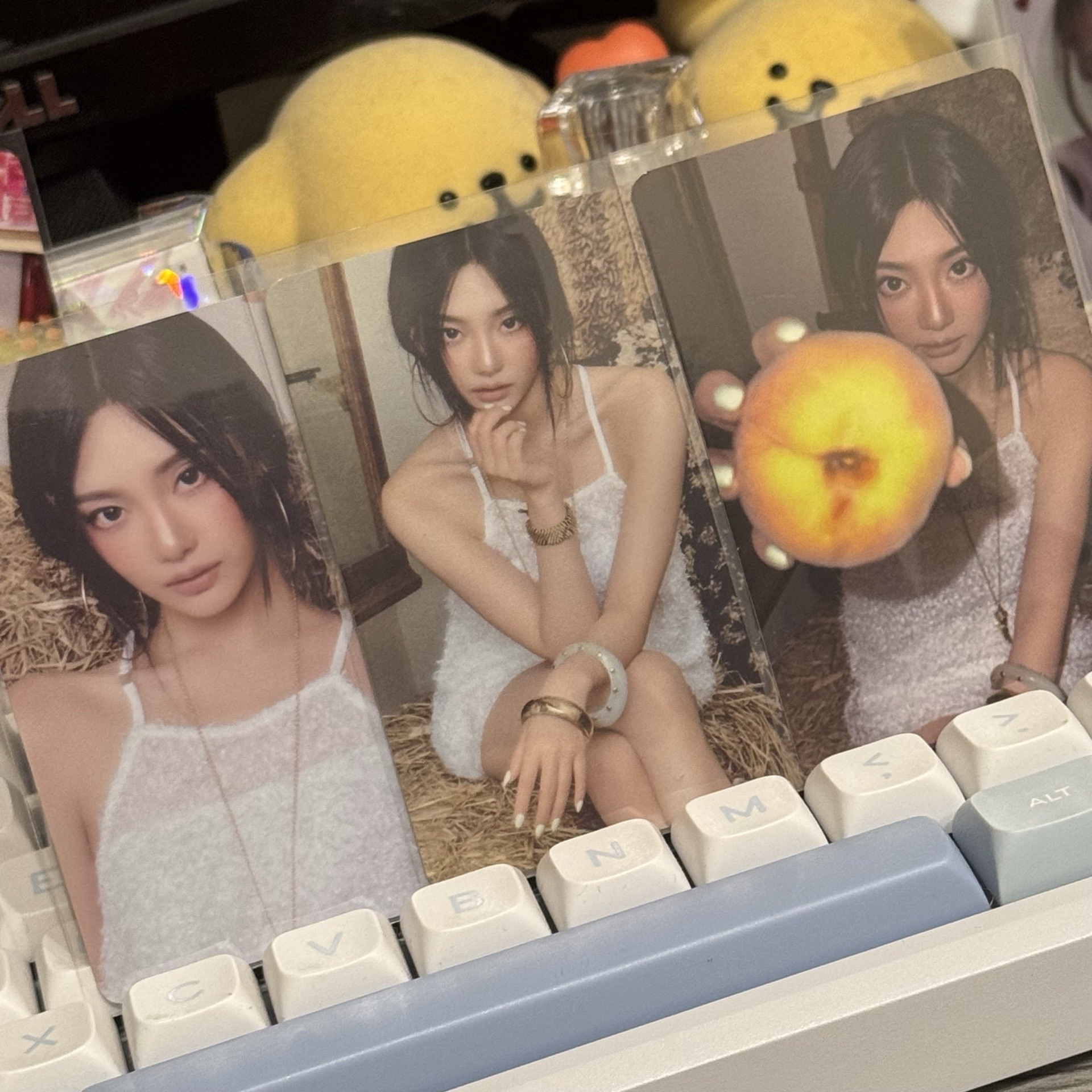 ☆現貨♪26年曆後續隨機卡_三張寧