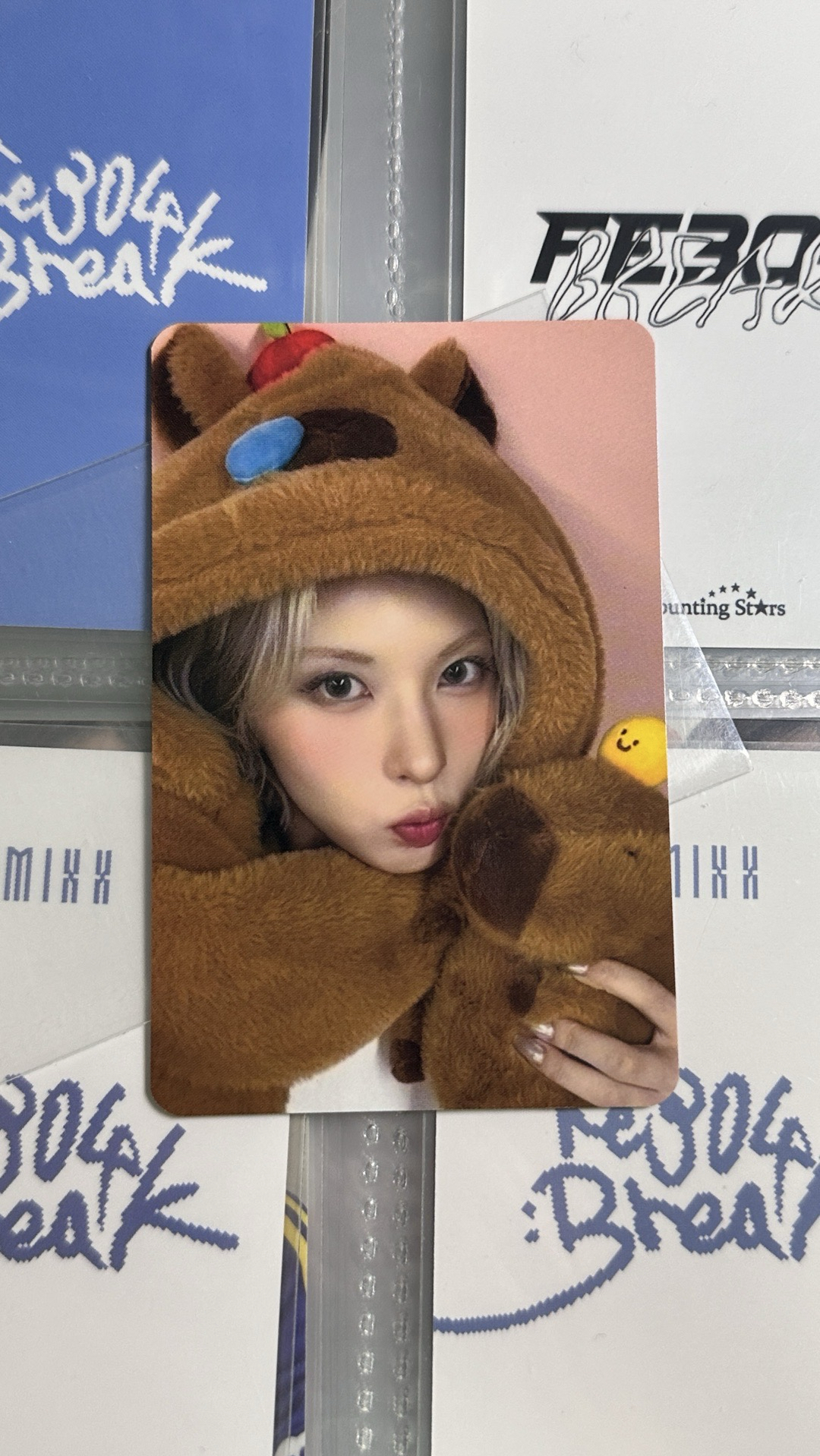 ✔️NMIXX ms卡皮巴拉裴