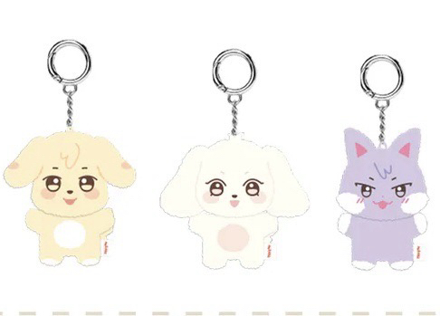 🇺🇸美國kpop店代購 aniteez潦草毛潤