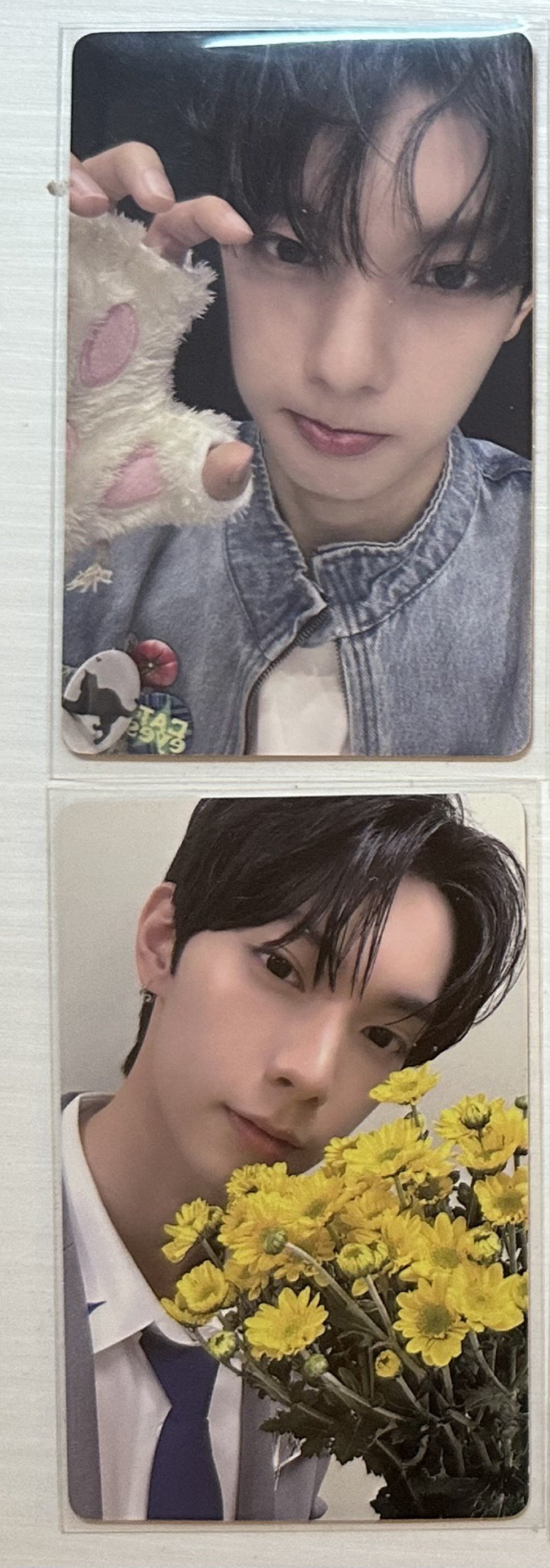 崔立于男寶小卡