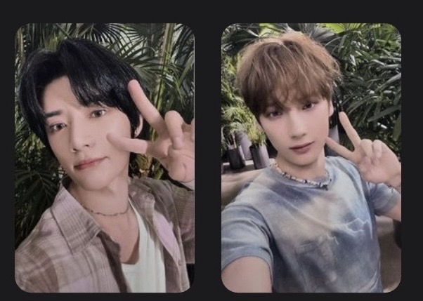 圭寧 正四 kms 2.0 中背簽售卡