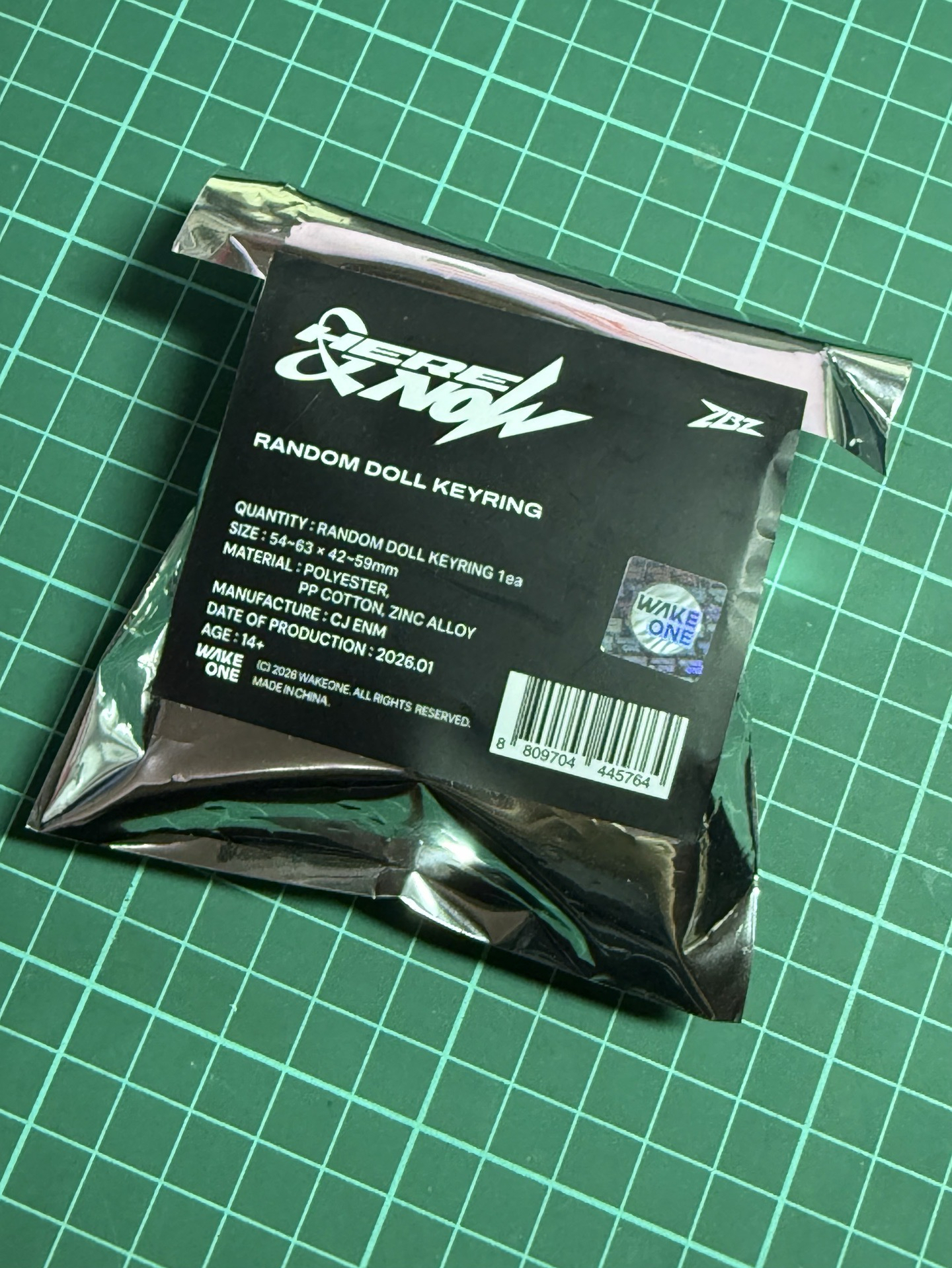 ZB1 日場 隨機 毛絨吊飾