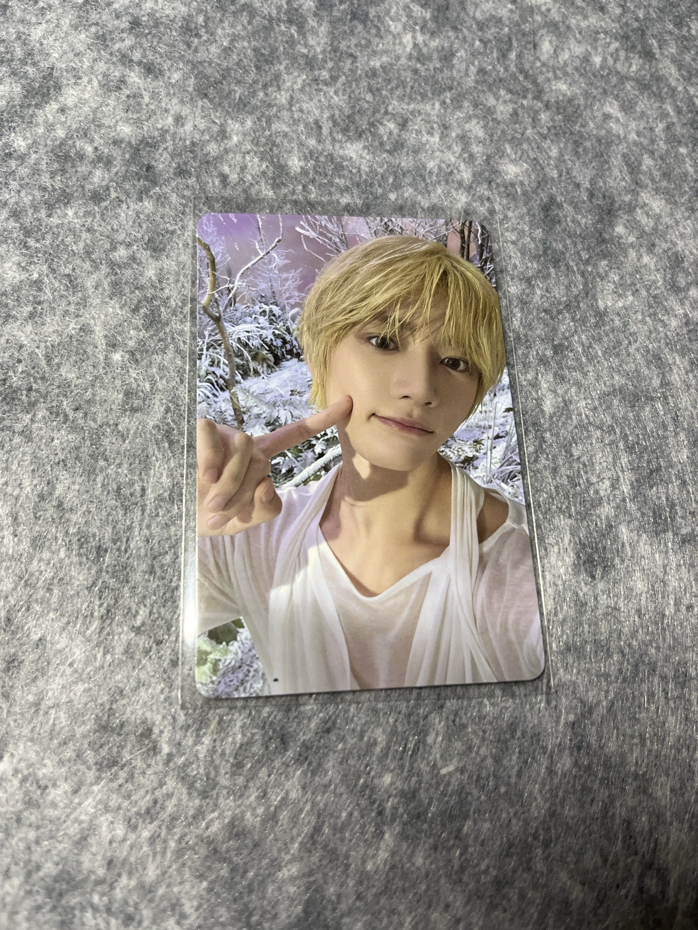 📌迷七 專卡🐻