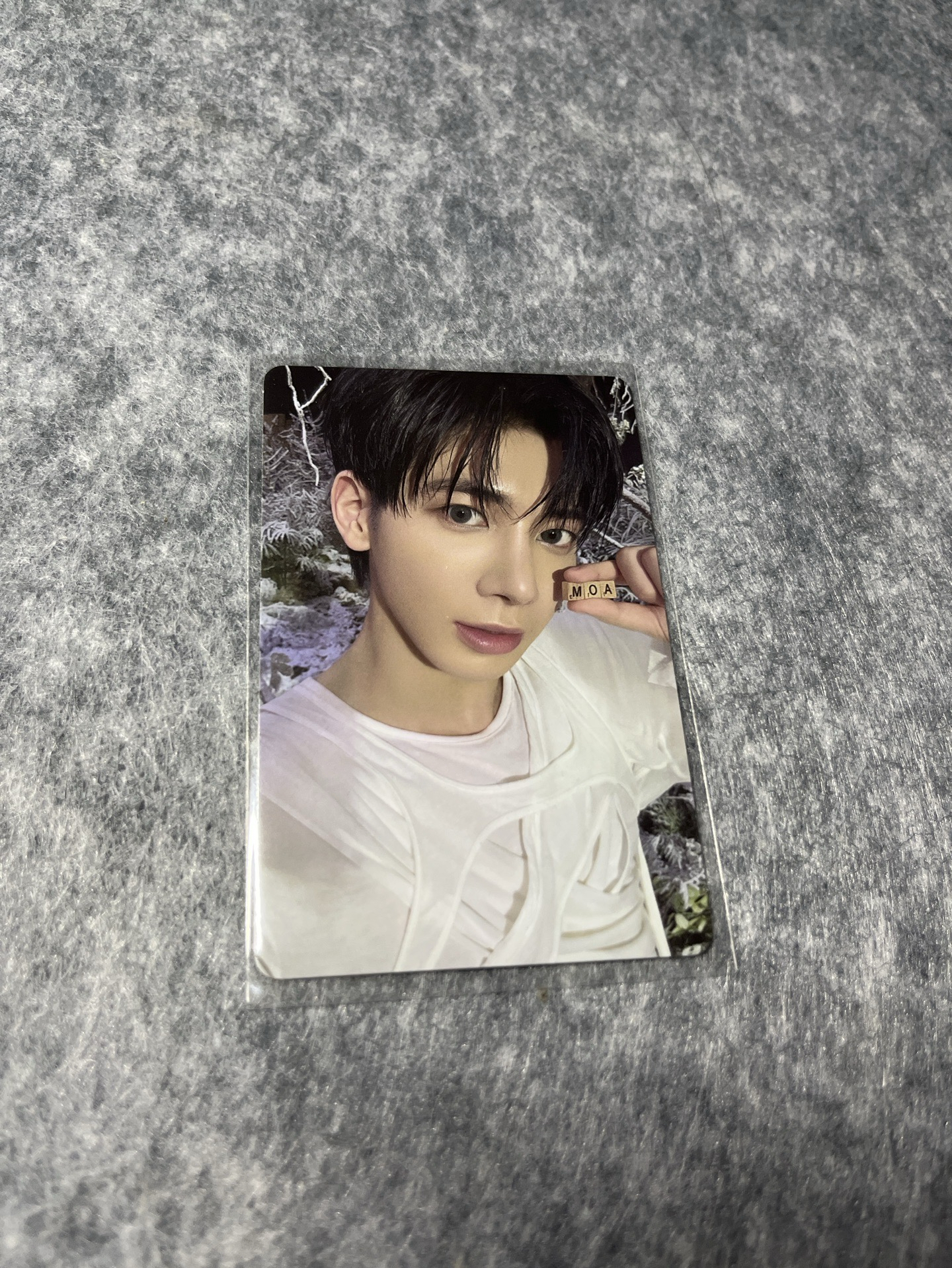 📌迷七 專卡🐿️