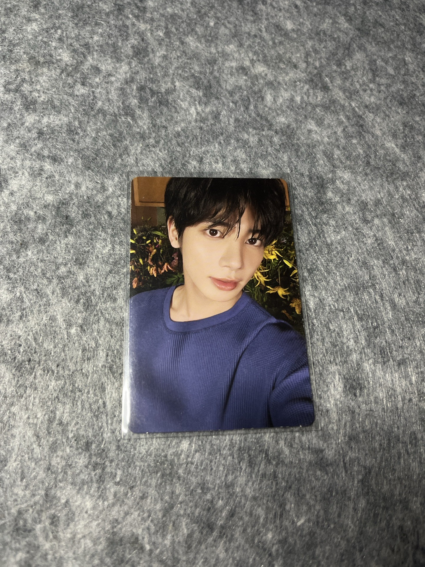 📌迷七電子專🐿️