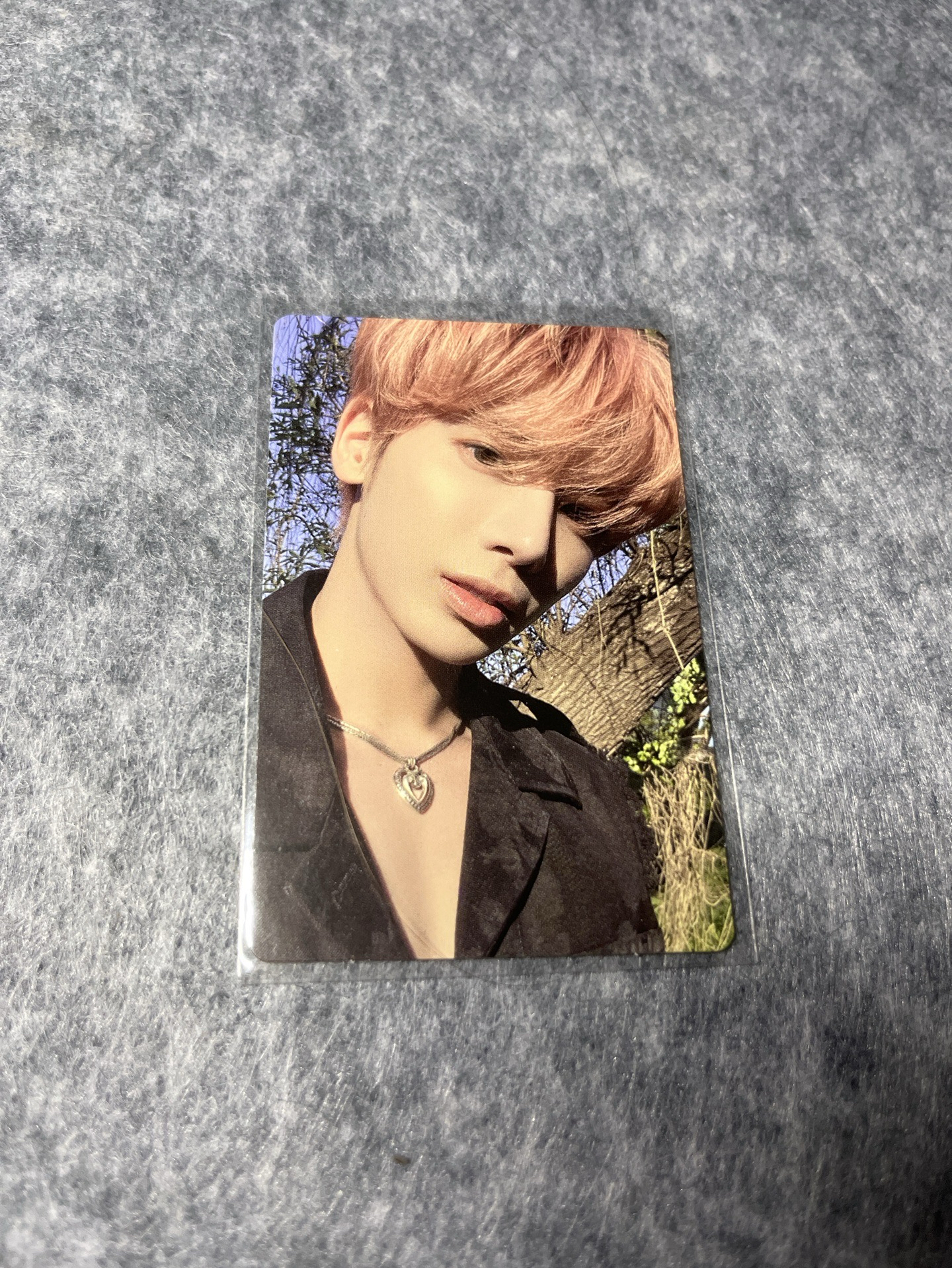 📌迷五 專卡🐿️