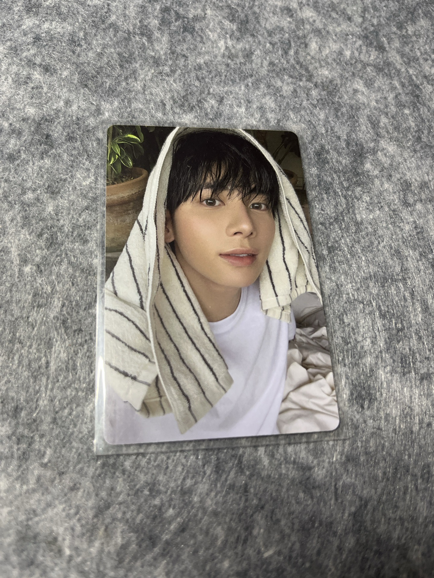 📌迷七 單封🐿️