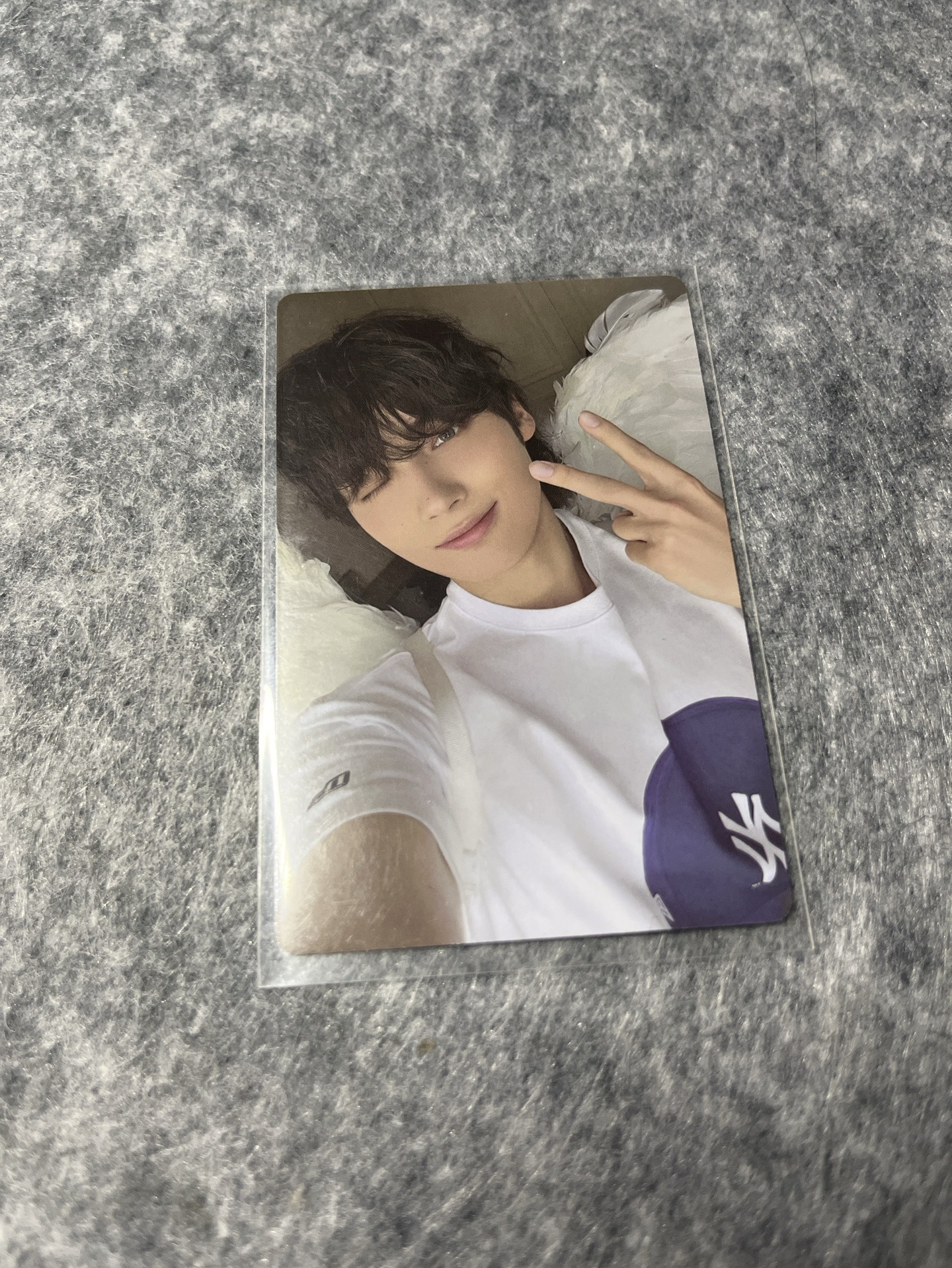 📌迷七 天使寧🐧