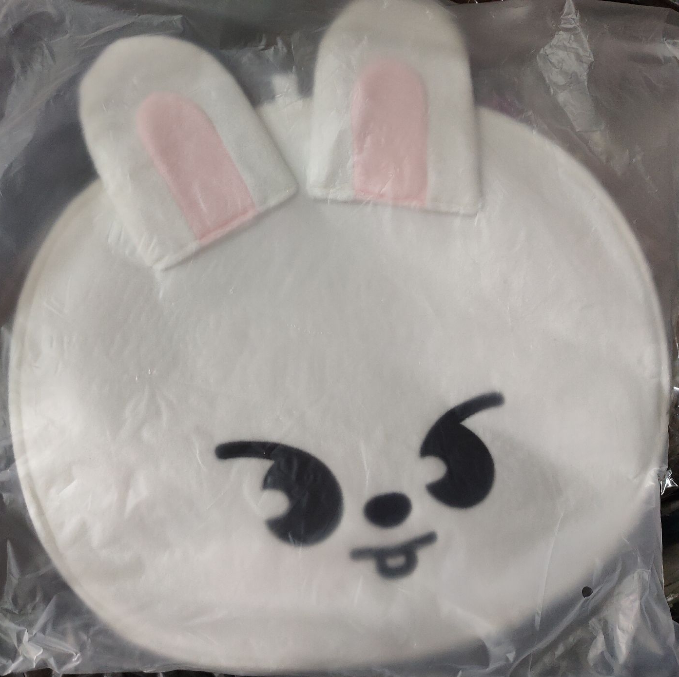 李畢扇套（請看清楚說明再下單）