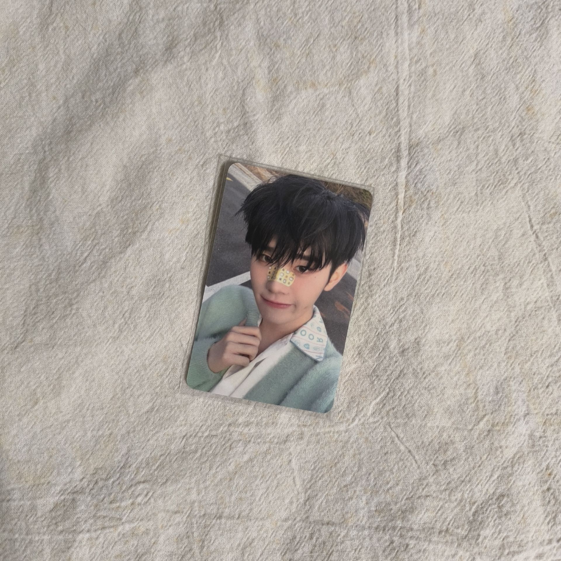 ZB1金泰來 AM動物創可貼