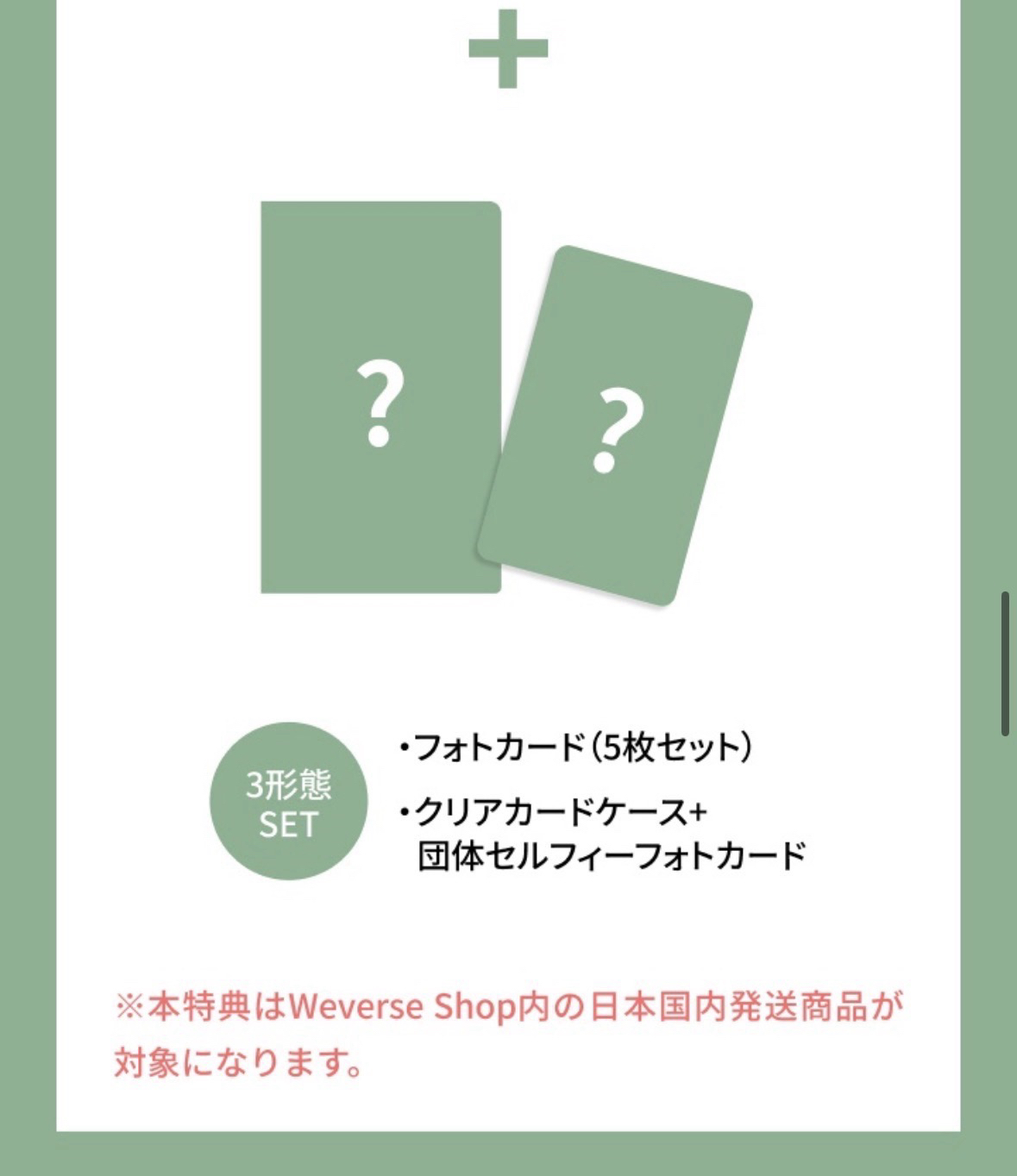 Cortis 迷二 日咖預售