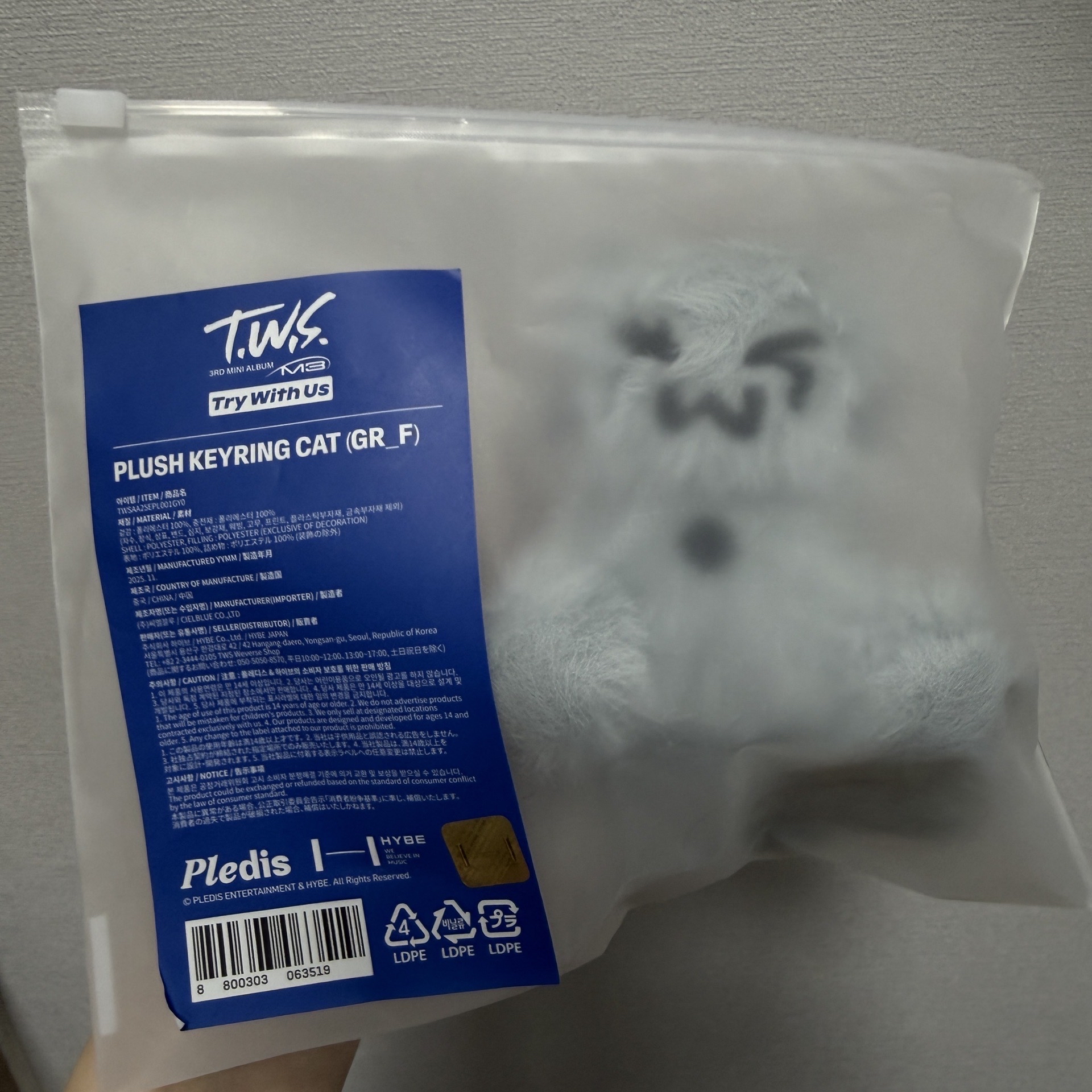 TWS全新未拆灰貓