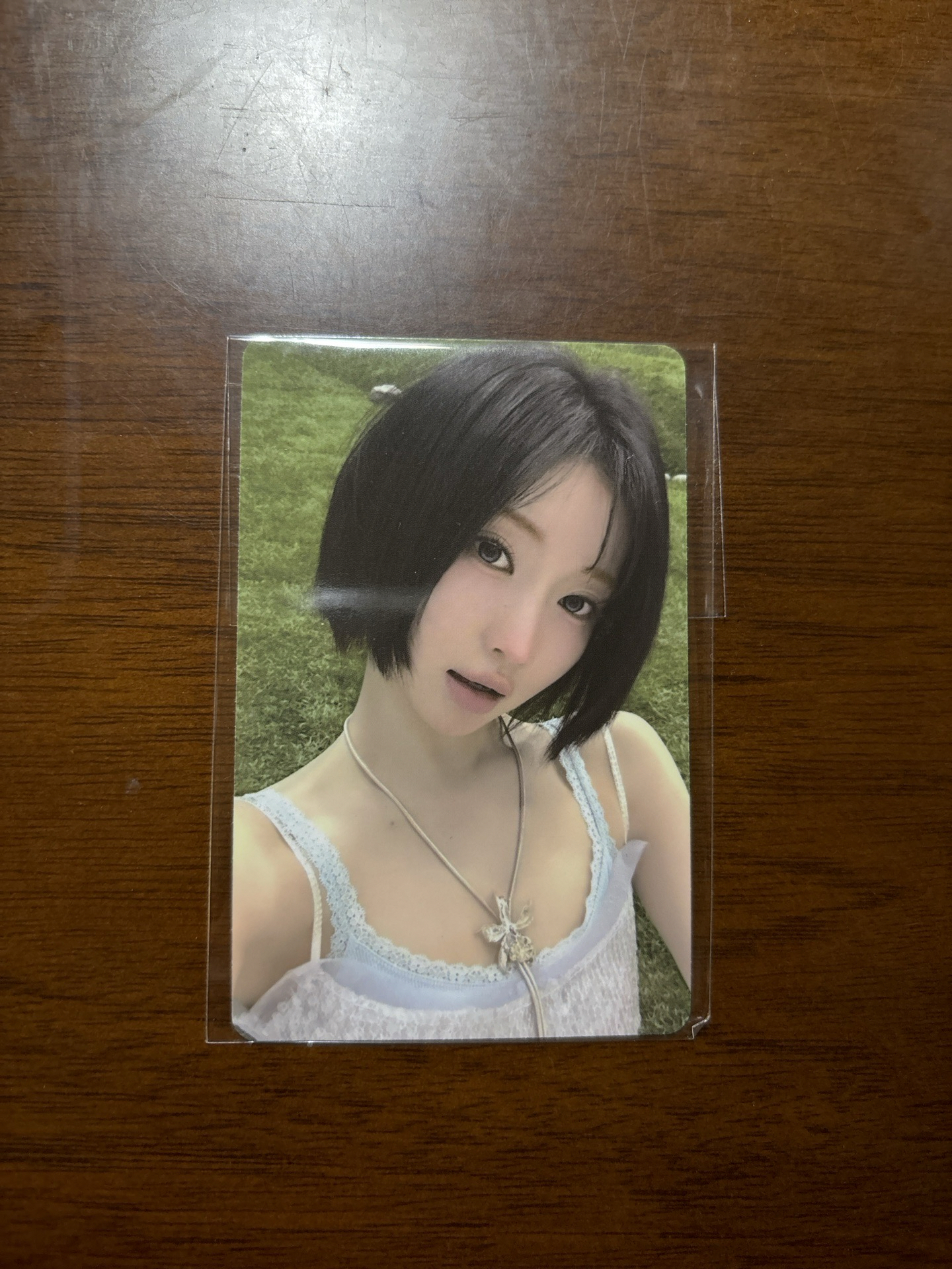 紗 Supa dupa luv滿額卡