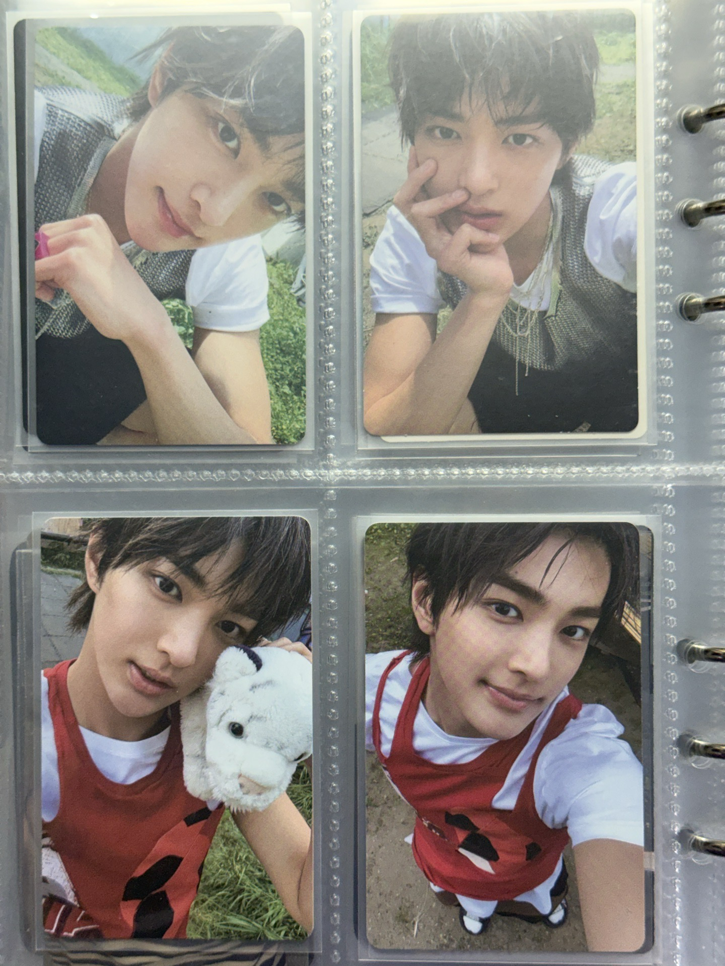 🟢🟢🔴🔴的安🐶