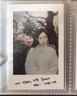 圭仲夏夜拍立得