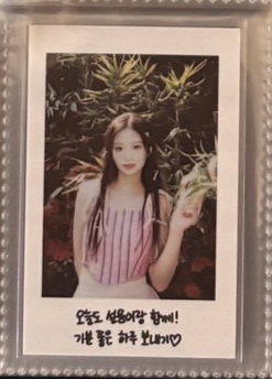 薛仲夏夜拍立得