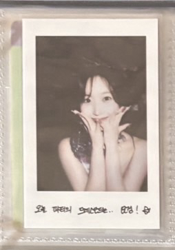 嫄仲夏夜拍立得