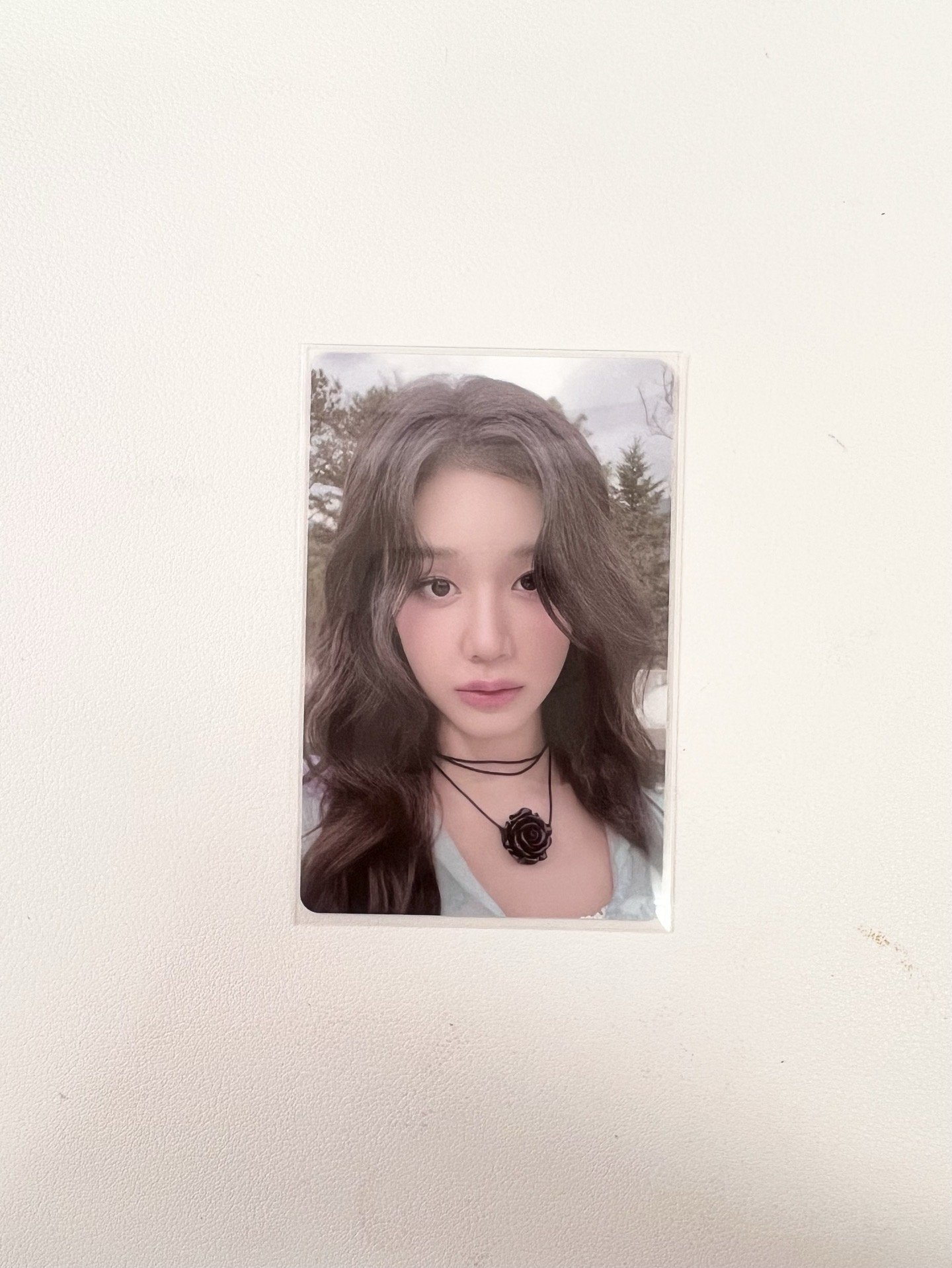 Pharita 一週年 特典