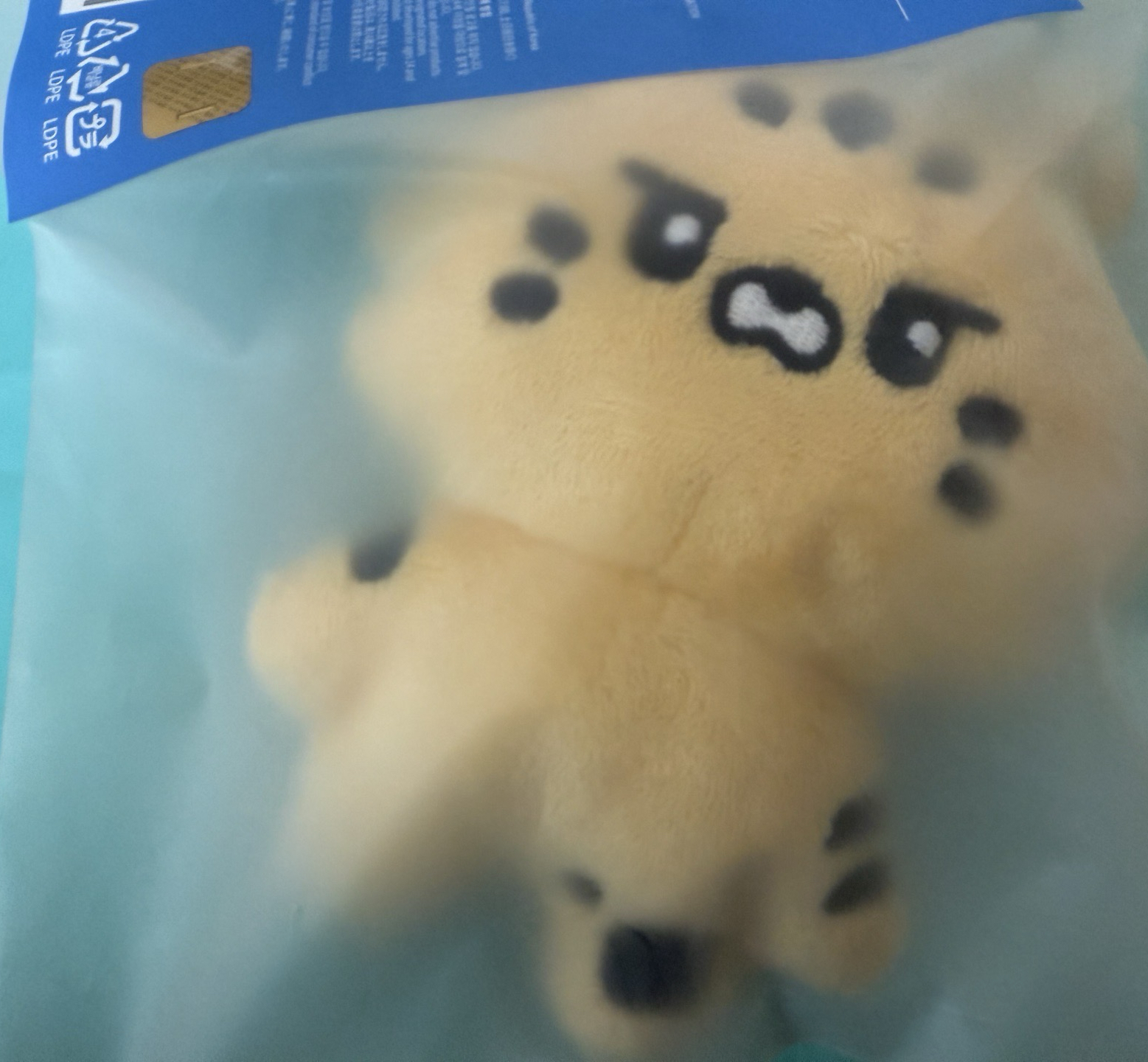 現貨發原皮金阿奇