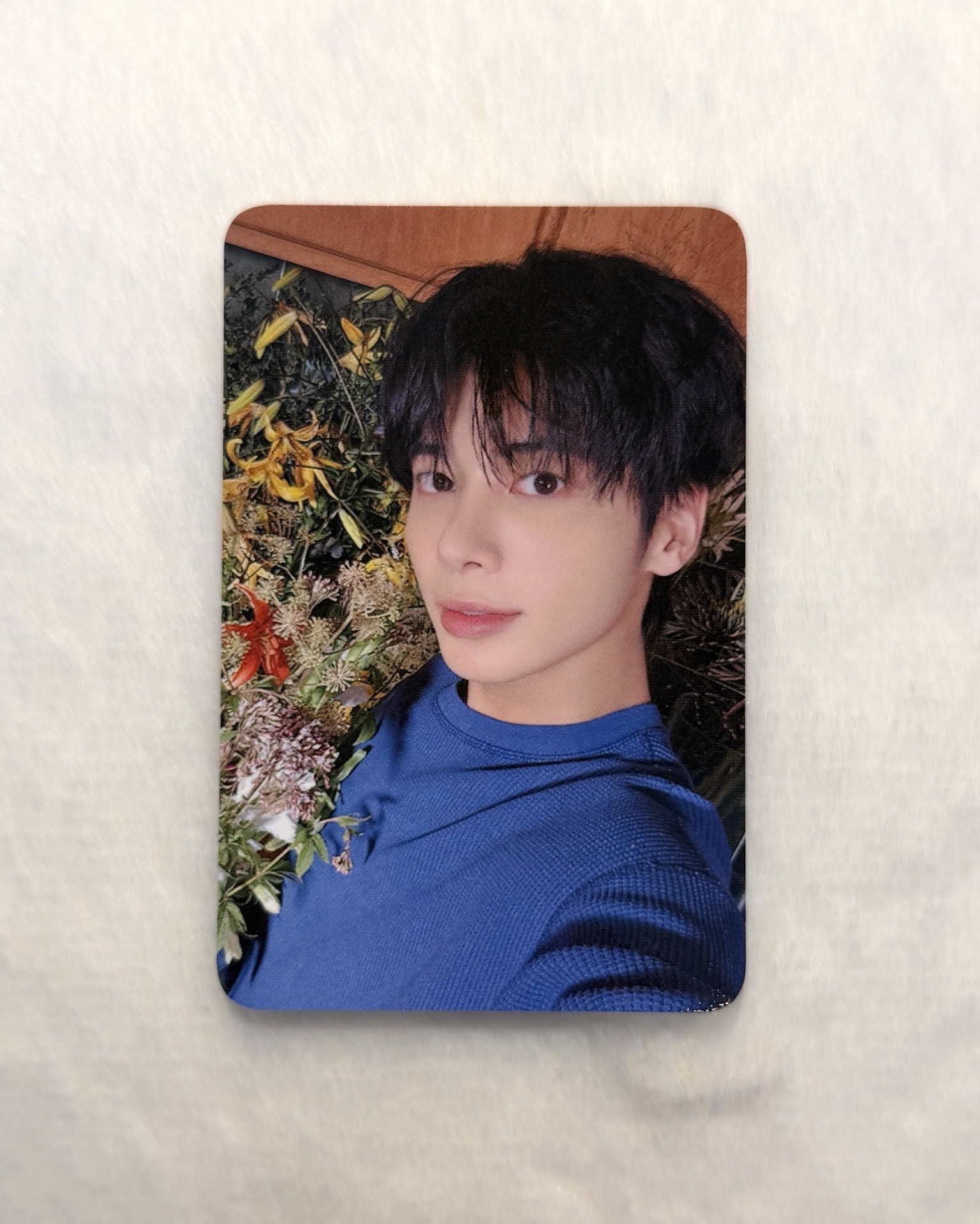 迷七特典 DMM3.0 太顯