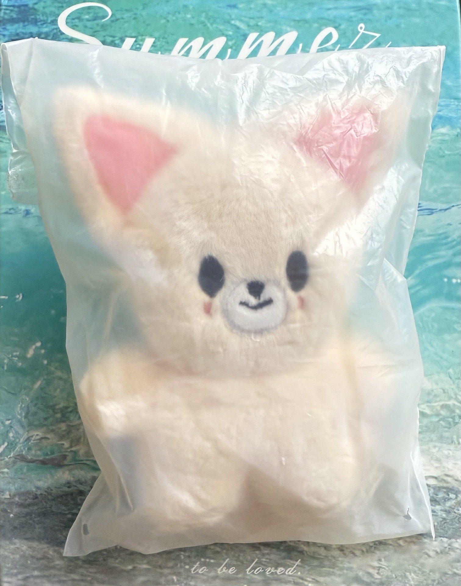 I.N全新磁吸站姿娃