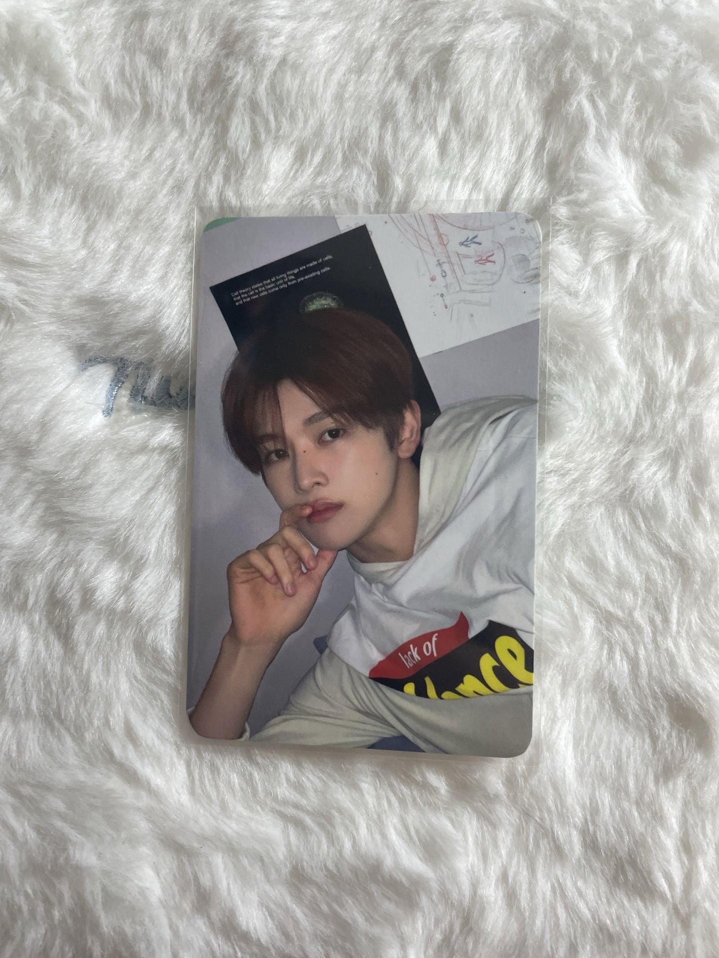 成燦 2026年曆 隨機卡 A版 selfie photo