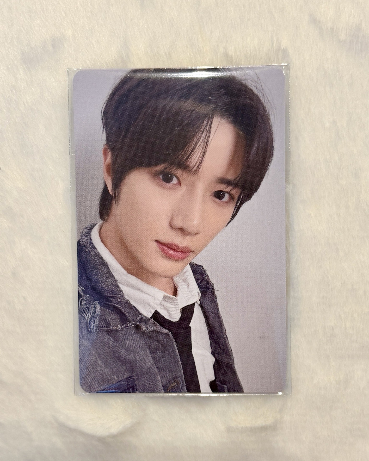 日巡 東京場限 杋圭