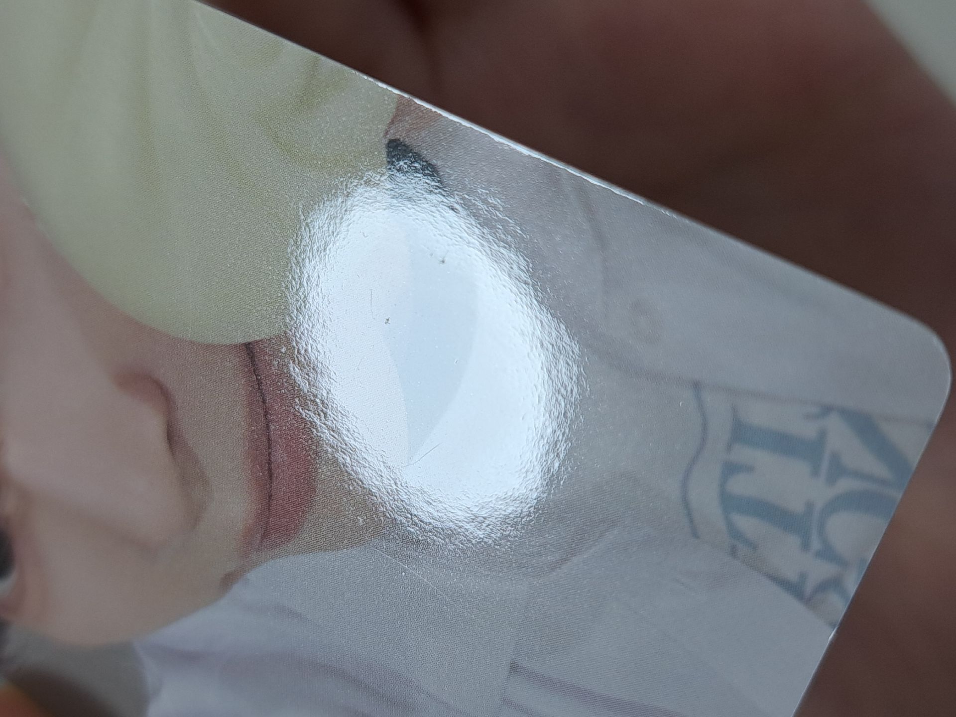 迷五 yzy 上海合影 小籠包彬