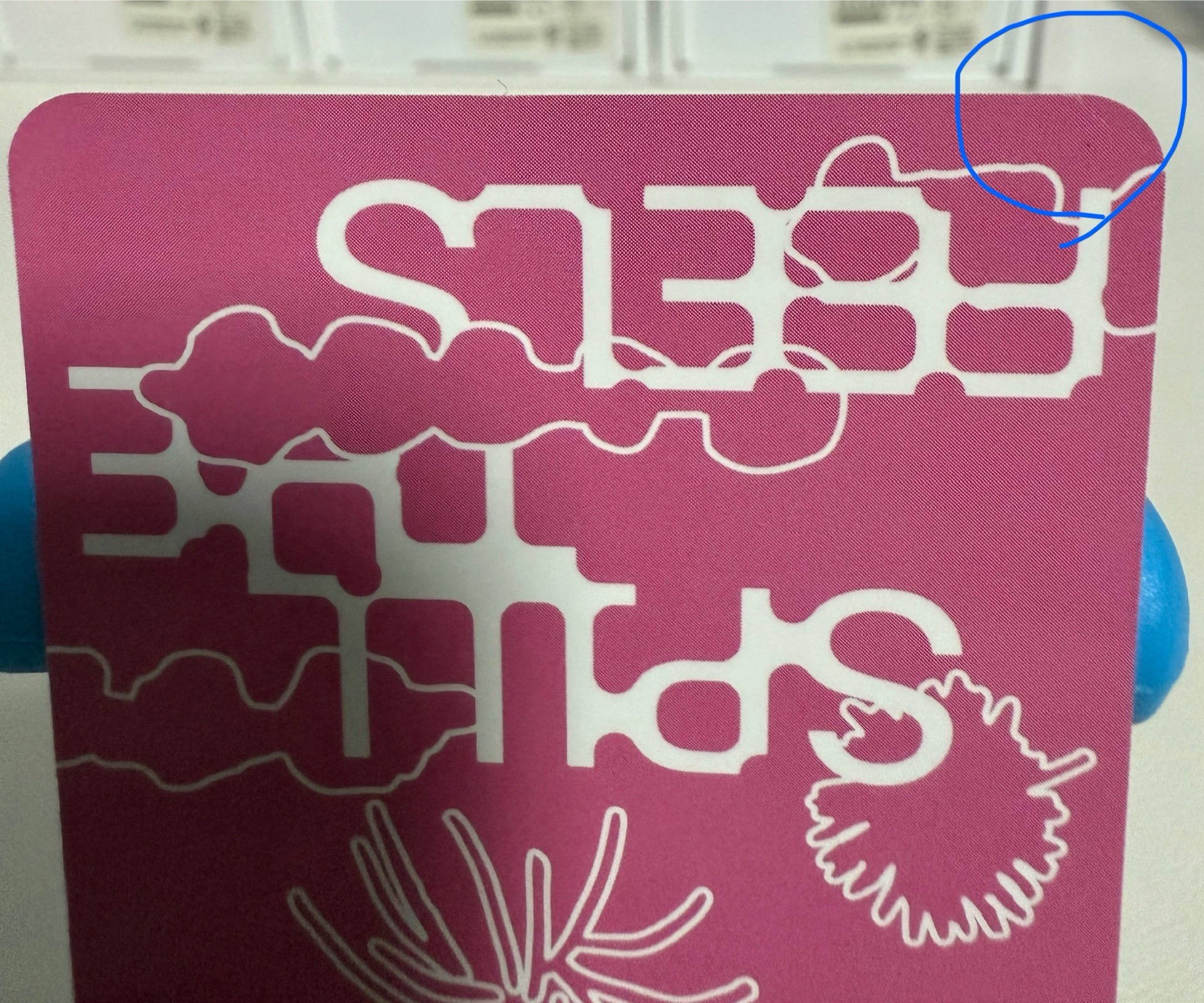 迷12克拉盤專卡（有損）（不當綁、可單帶）