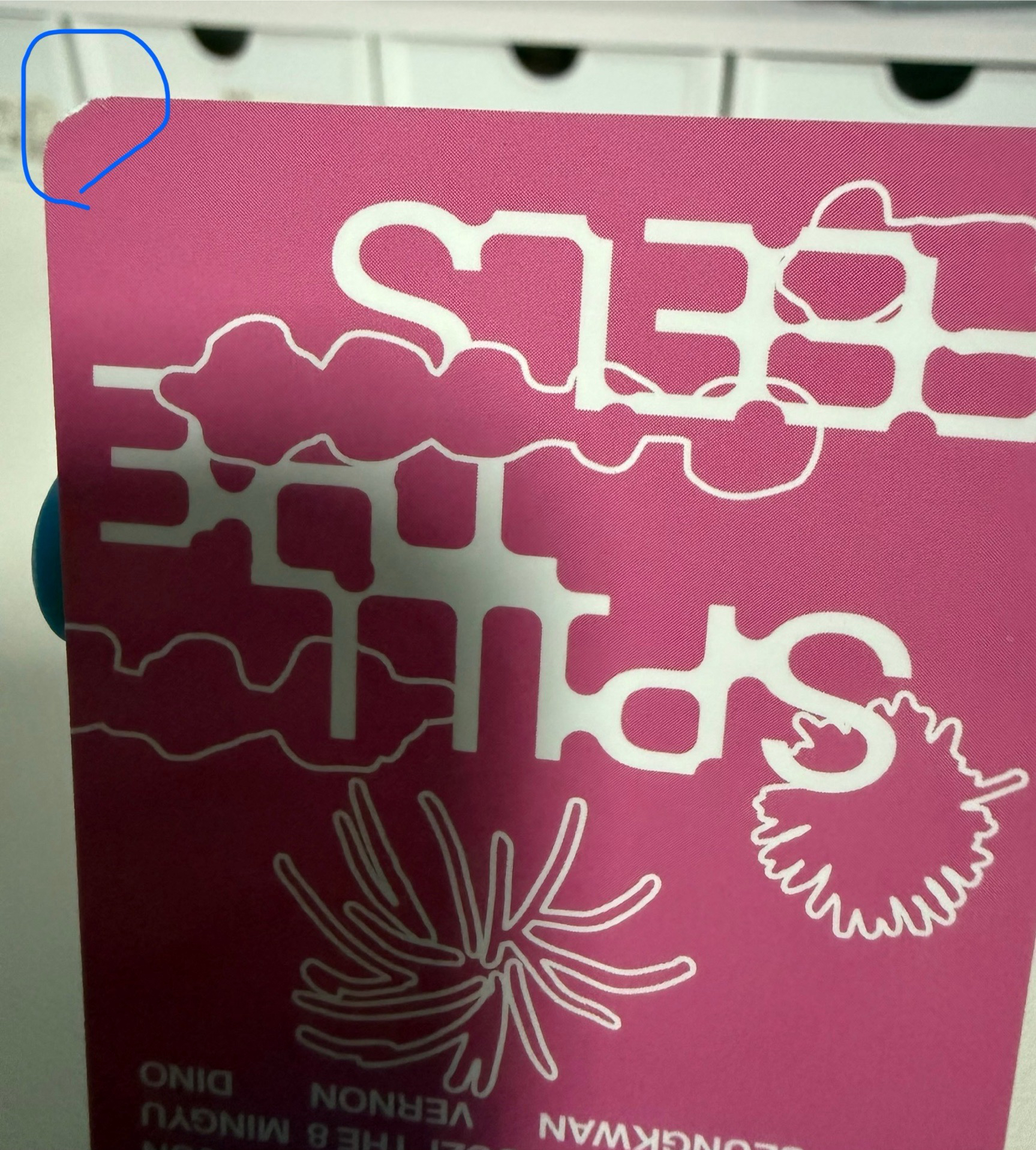 迷12克拉盤專卡（有損）（不當綁、可單帶）