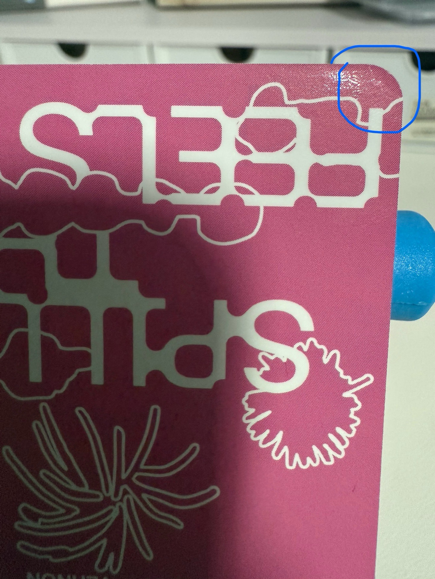 迷12克拉盤專卡（有損）（不當綁、可單帶）