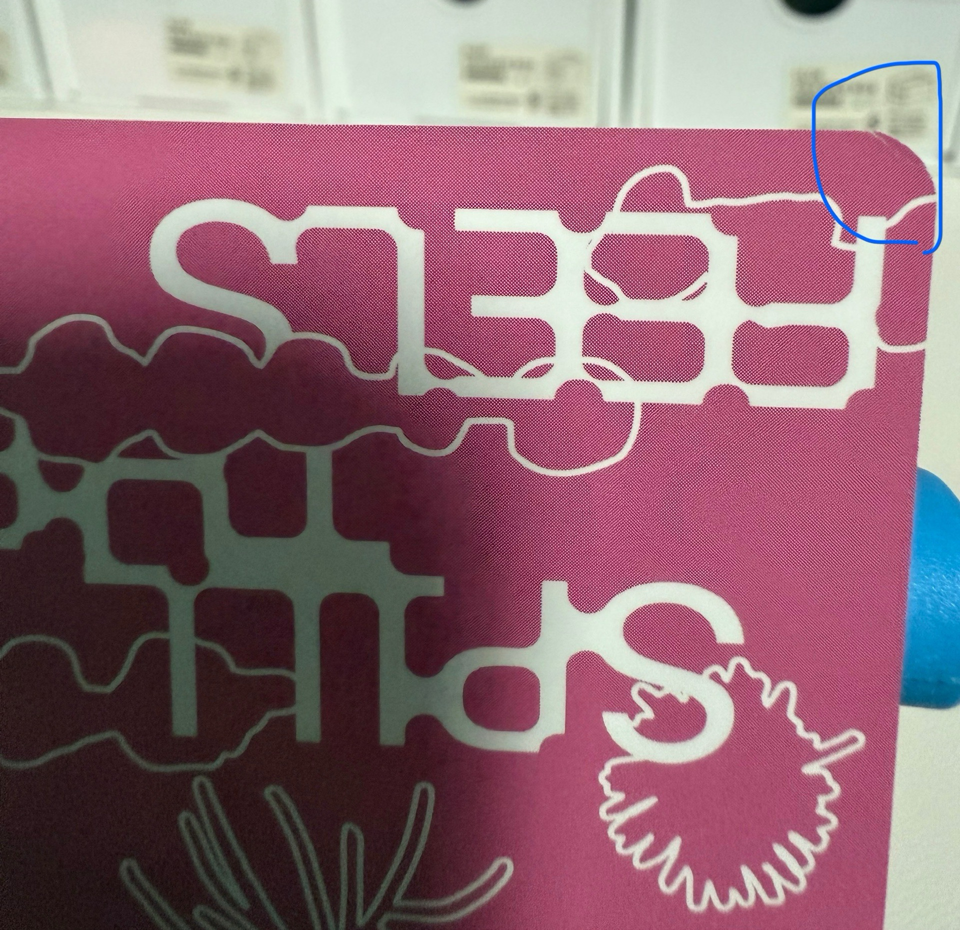 迷12克拉盤專卡（有損）（不當綁、可單帶）