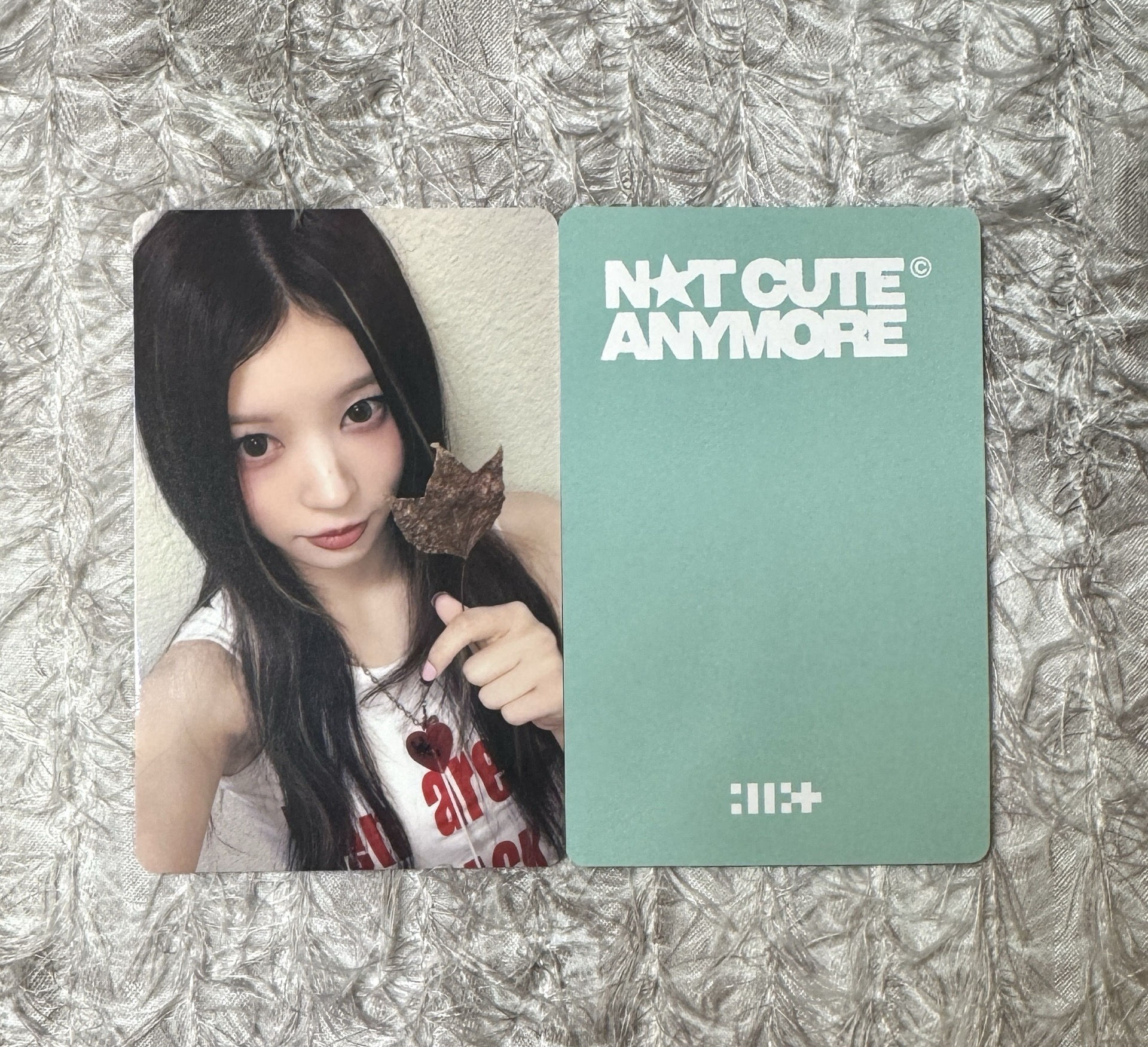 可直拍 一直娛楓葉萌🍁