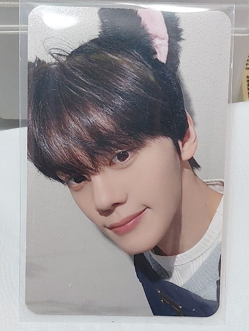 項鍊專特典 MS貓耳 奎彬