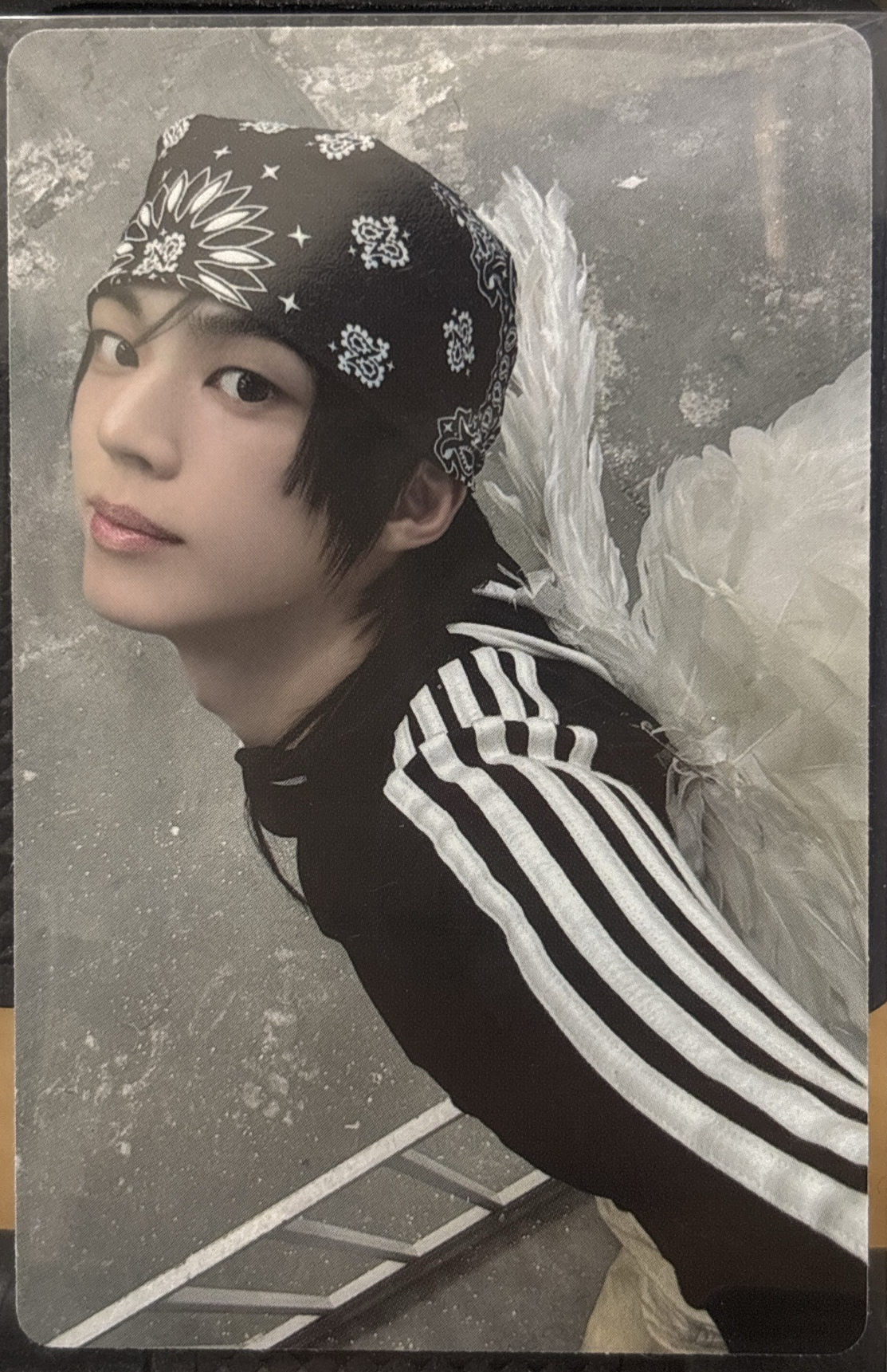 道勳Play Hard藍版專輯卡