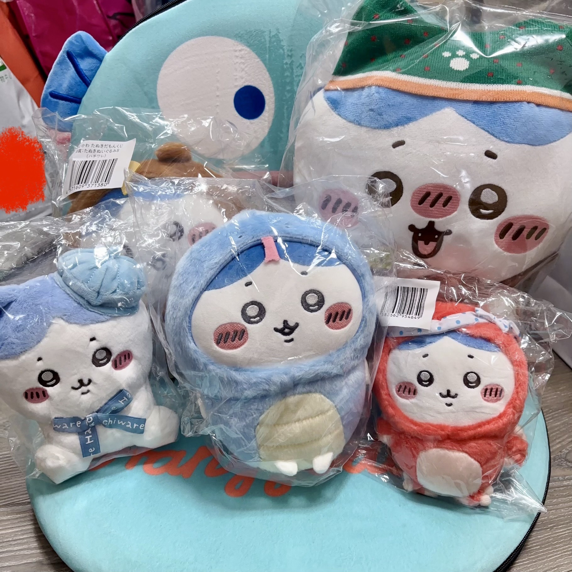 🤍小八 盤出 蛇年 章魚 東京限定 狸貓