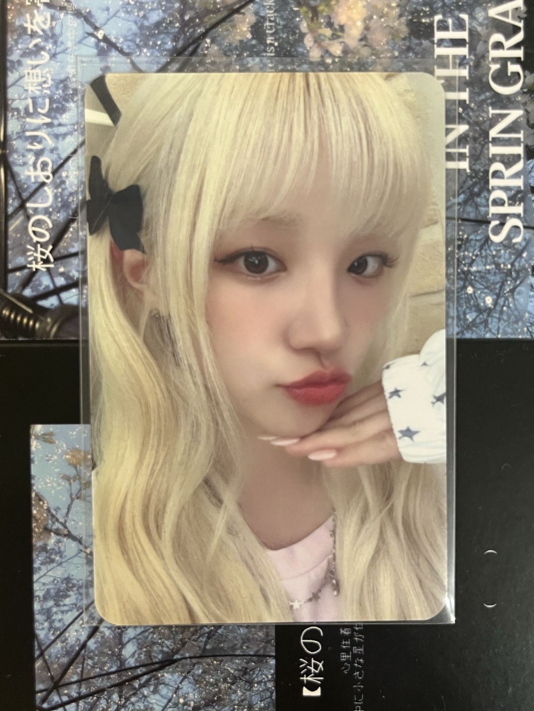 We are ms 5.0 幸運卡琦