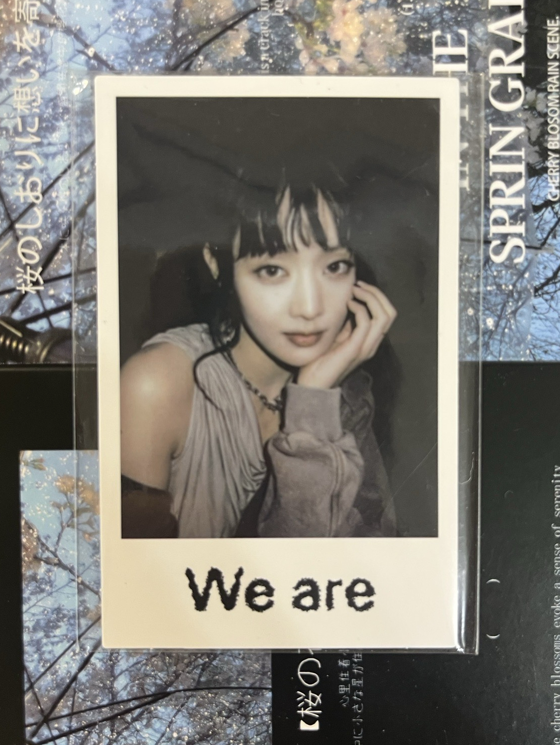 We are wvs 特典卡 迷八早鳥拍立得 妮