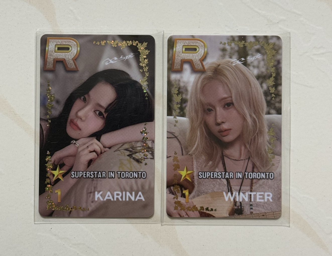 1元/快速競標 多倫多遊戲卡 冬柚一對