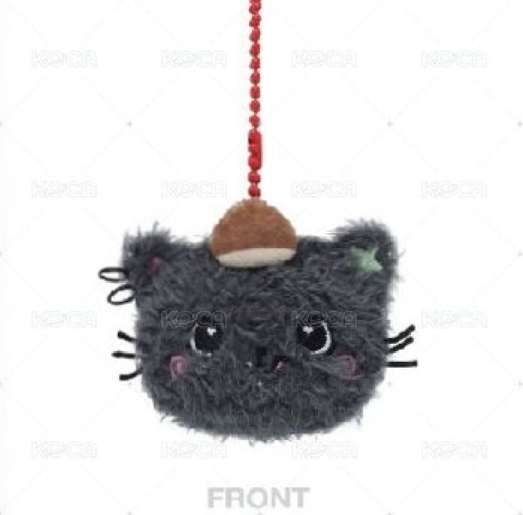 非現貨 NCT WISH Riku Kuri 糰子