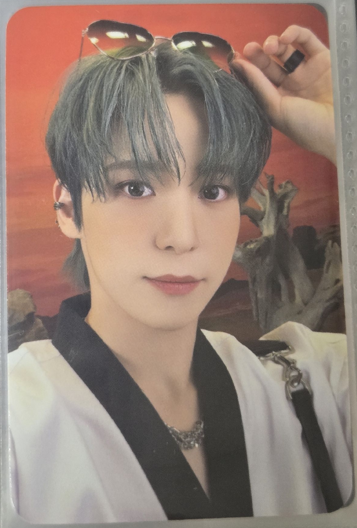 丁潤浩 Will am 特典卡 