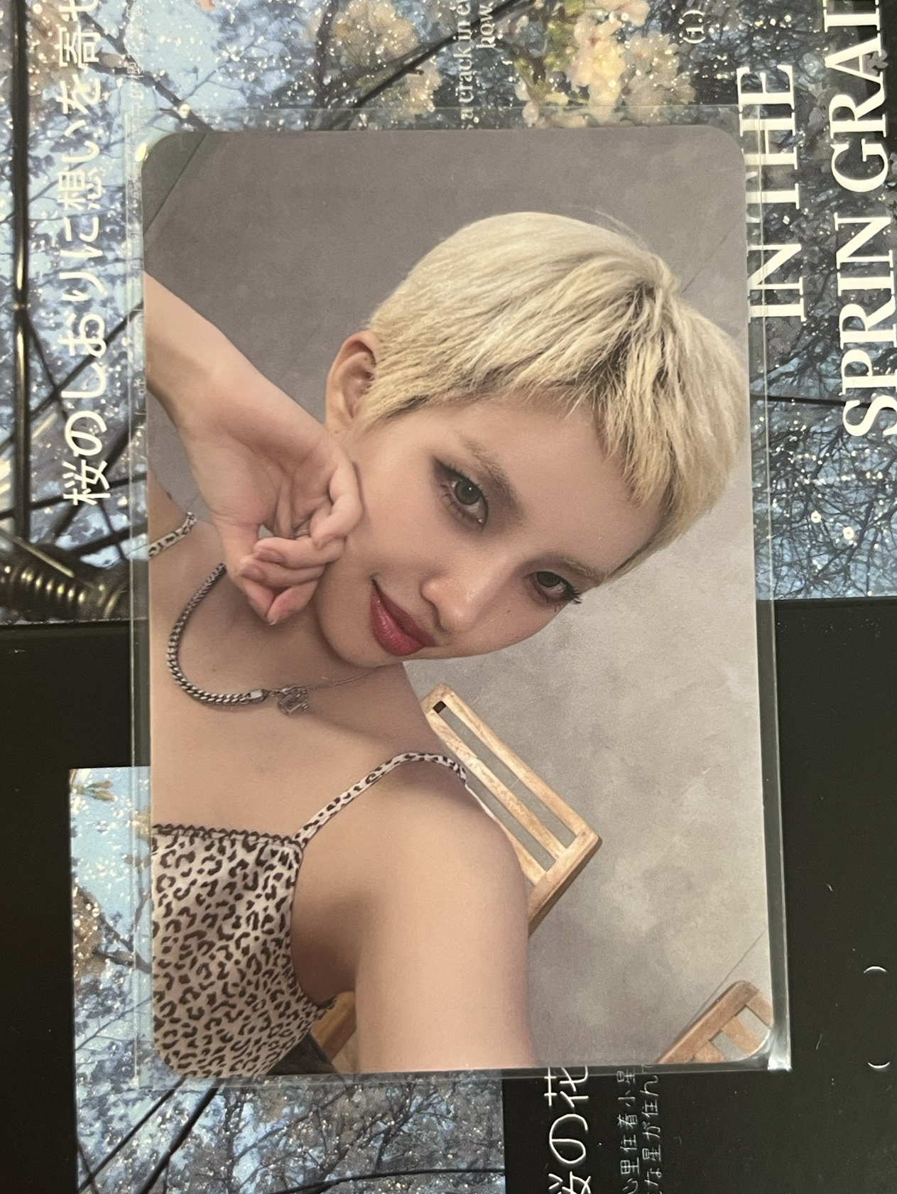 We are QQ音樂 三星娟