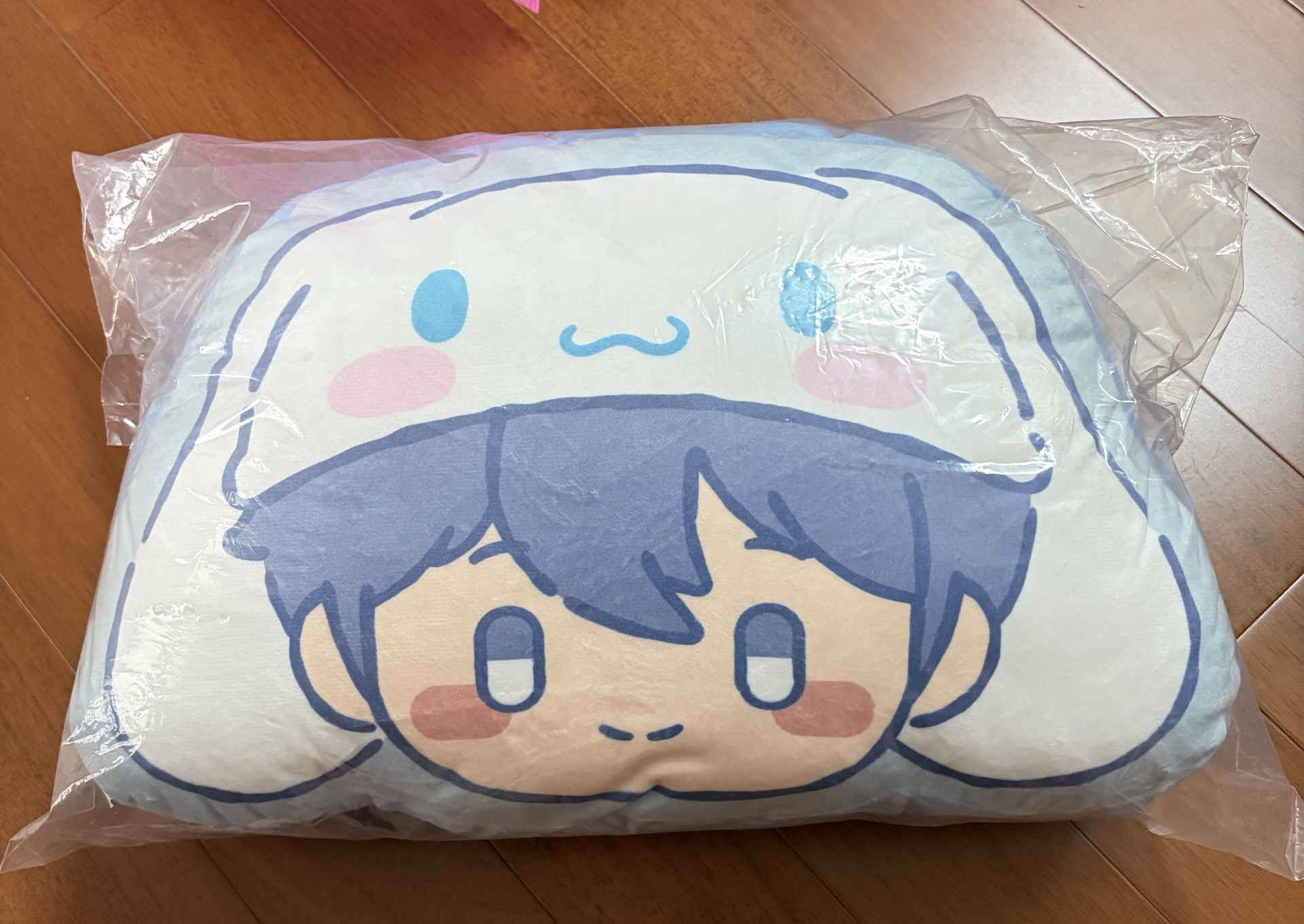 💙藝俊 BBUU抱枕