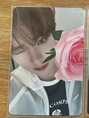 SR七夕玫瑰辰（中背）